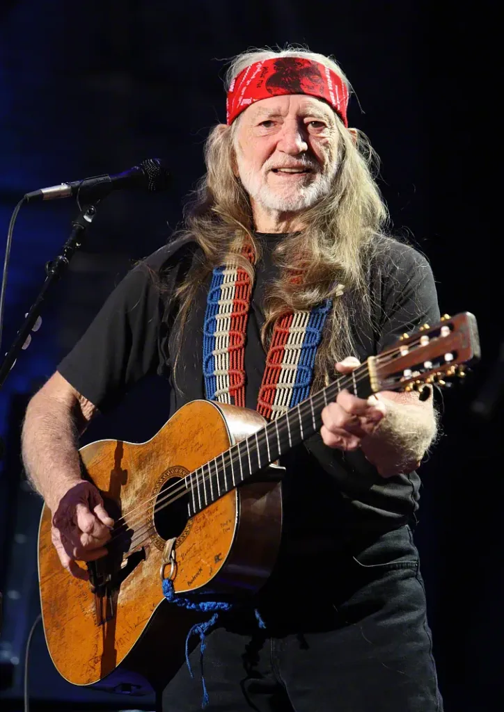 willie nelson country rock